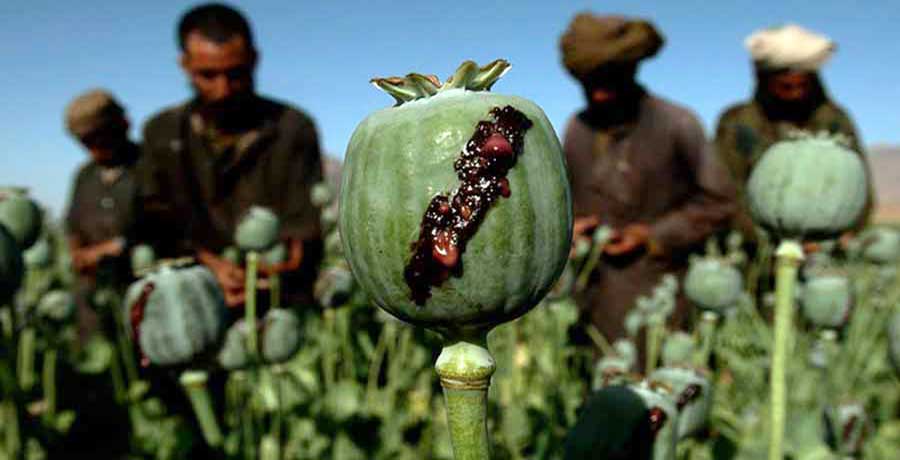 ترک اعتیاد تریاک