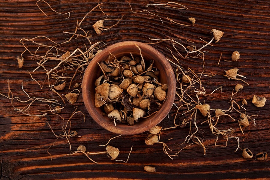 ترک اعتیاد ماشروم