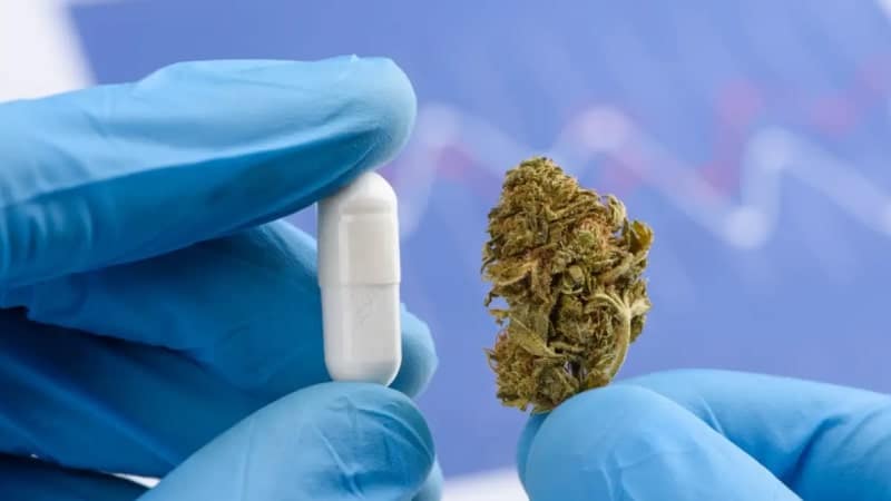 ترک گل با ریتالین