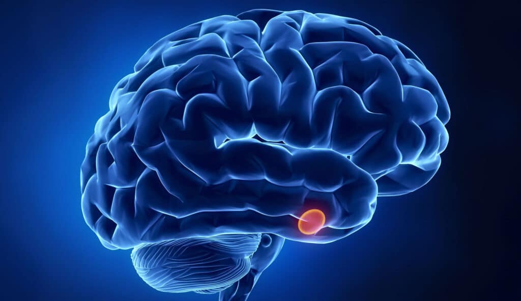 تاثیر مواد مخدر بر هورمون ها